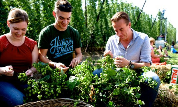 Hop plukken bij PALM